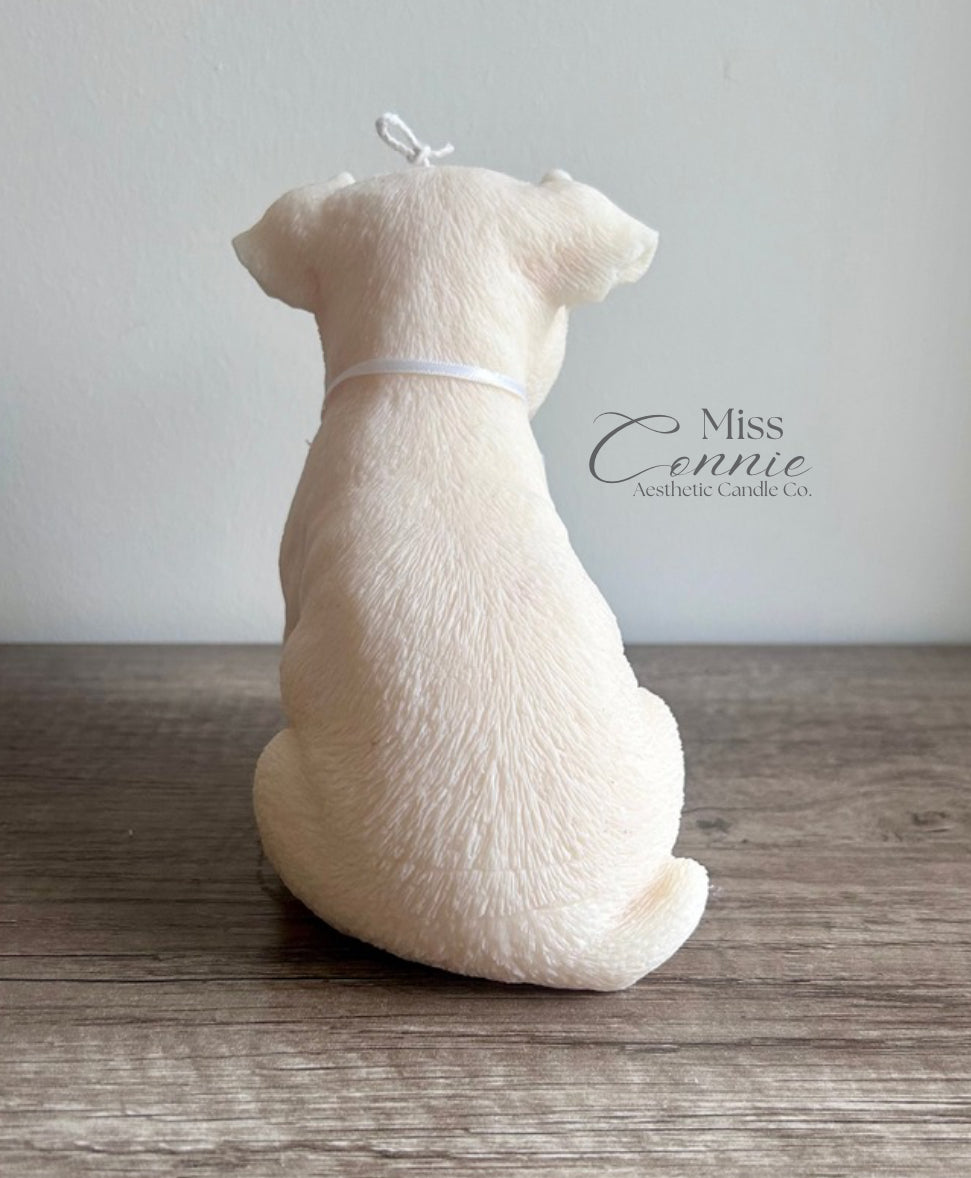 Jack Russell Terrier Puppy Dog Candle