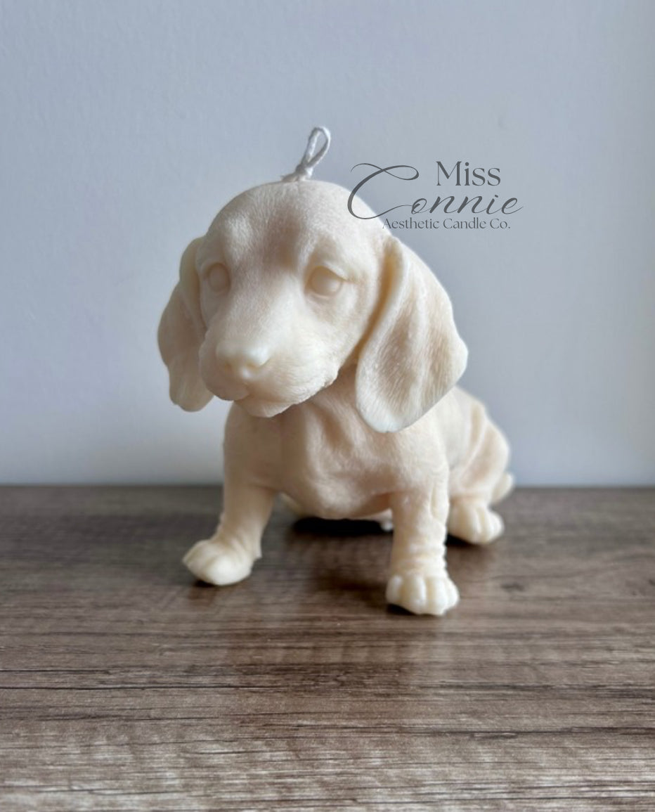 Dachshund Puppy Dog Candle