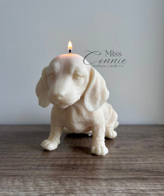 Dachshund Puppy Dog Candle