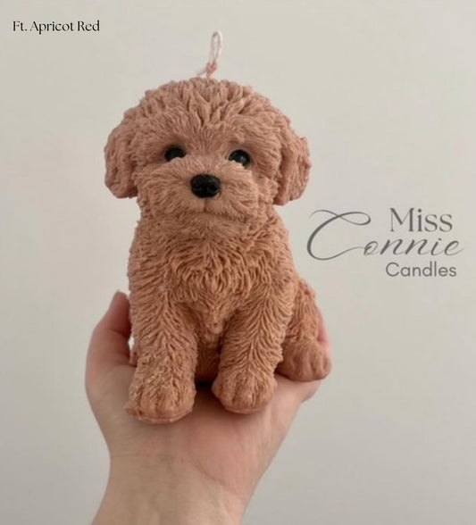 Maltipoo Puppy Dog Candle