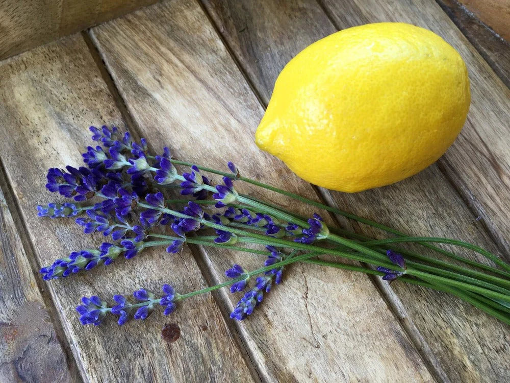 Lemon & Lavender