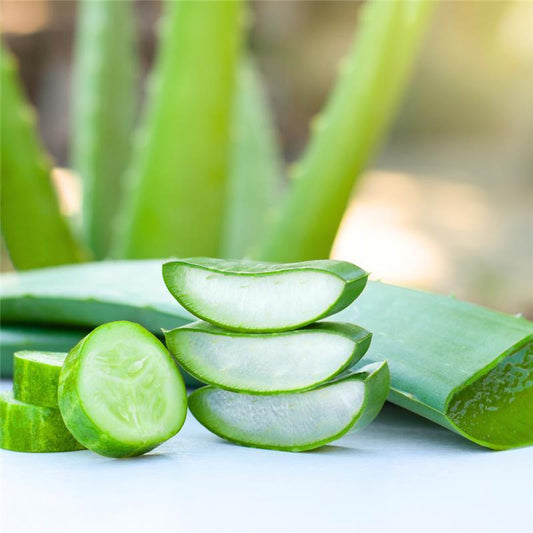 Aloe Vera & Cucumber